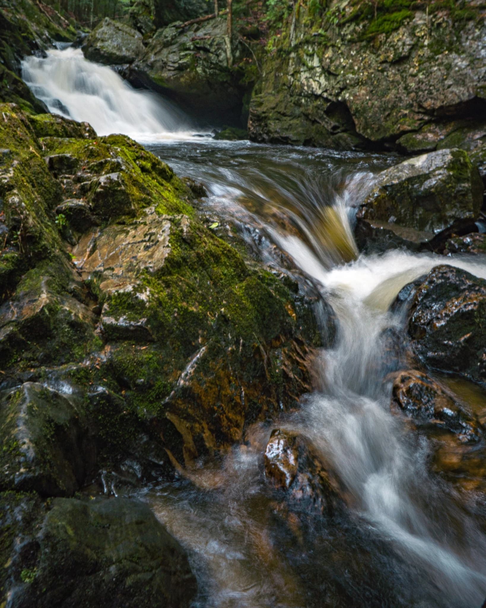 Water moving through a rocky forest cascade