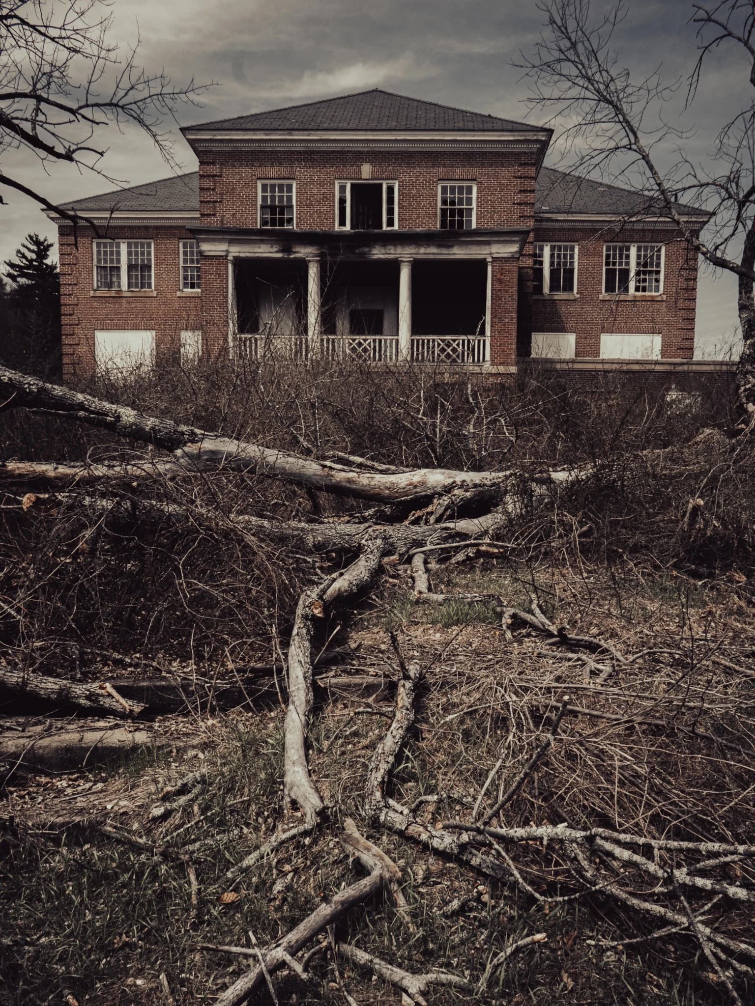 Abandoned brick building behind tangled fallen branches